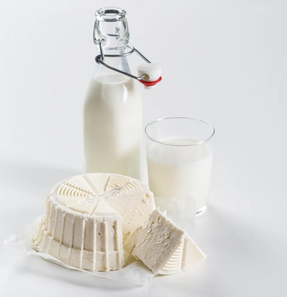 Börner Cheesemaker, Cheese Maker Käse Frischkäse Zubereiten Rezeptbuch Cheese Set Selbst Machen – Bild 5