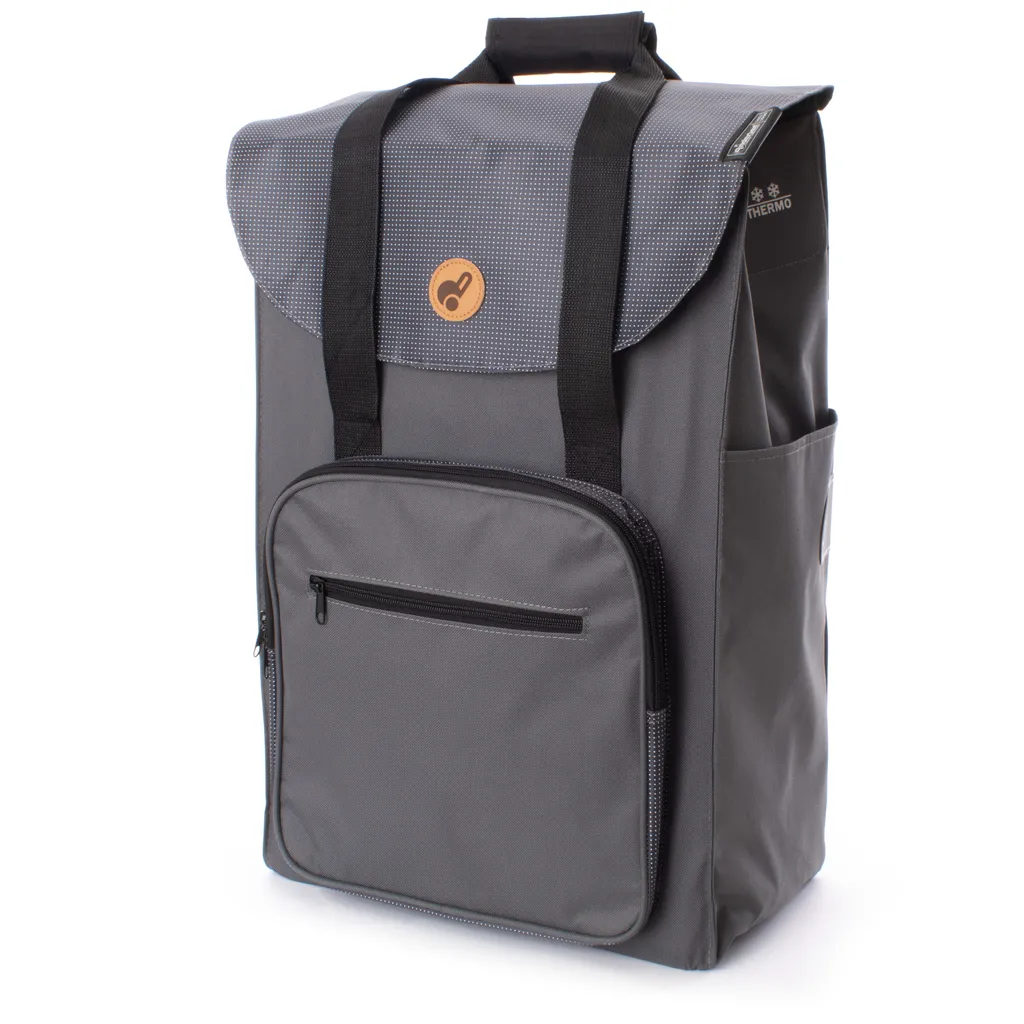 Andersen Shopper Royal Shopper Stahl Klappbar Mit Metallspeichenrad Ø 25 Cm Und 45 Liter Tasche Wismar Silbergrau Mit Kühlfach – Bild 2