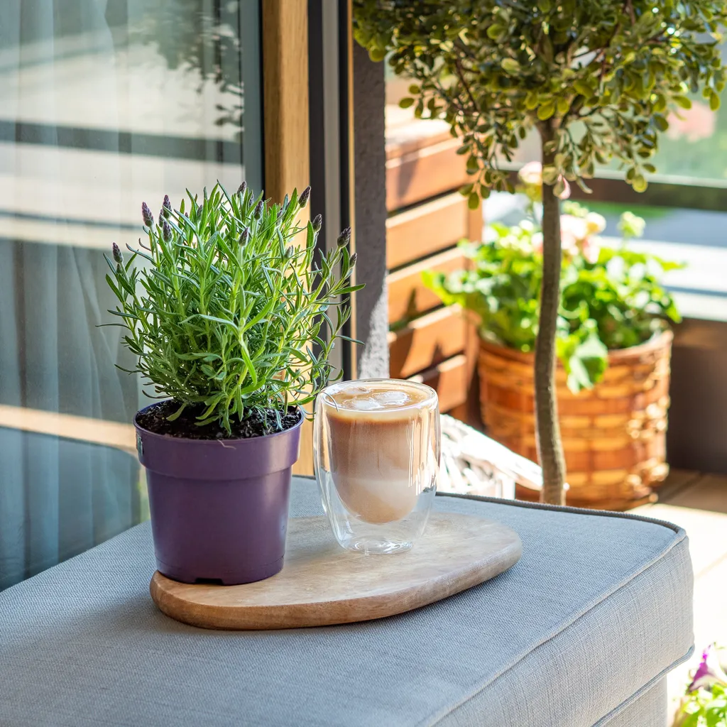 Wessper Latte Macchiato Thermogläser Mit Doppeltem Boden Set 6 X 350 Ml – Bild 2