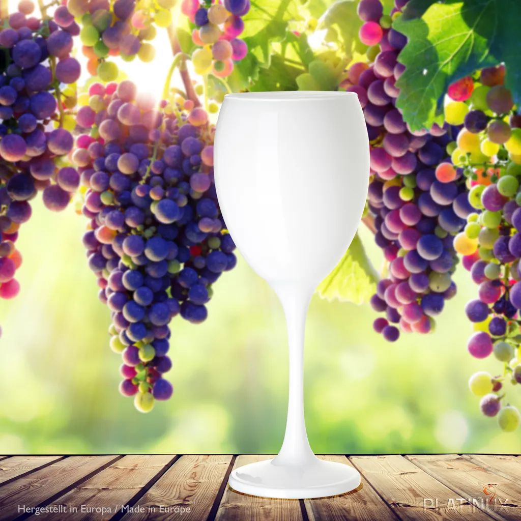 PLATINUX Weiße Weingläser Wasserglas Set 6 Teilig 130ml (max. 320ml) Aus Glas Massiv Weißweingläser Rotweingläser – Bild 4