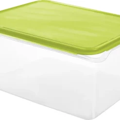 Rotho Kühlschrankdose Rondo 8 L 31,5 X 24 X 14,5 Cm (L X B X H)