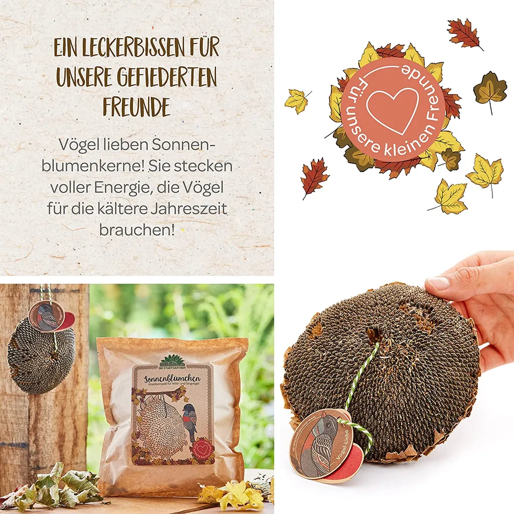 Die Stadtgärtner Sonnenblümchen I Schönes Vogelfutter Zum Verschenken I Getrocknetes Sonnenblumenköpfchen Zum Aufhängen I Vögel Füttern & Beobachten I Liebevoll Verpackt In Handarbeit In Deutschland – Bild 2