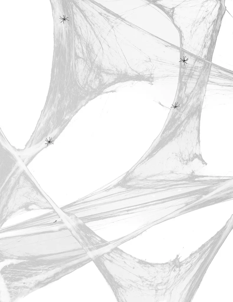 Elite Spinnennetz Mit Spinnen Halloween-Deko Weiss 100 G 35qm – Bild 2