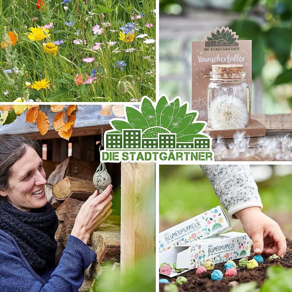 Die Stadtgärtner Sonnenblümchen I Schönes Vogelfutter Zum Verschenken I Getrocknetes Sonnenblumenköpfchen Zum Aufhängen I Vögel Füttern & Beobachten I Liebevoll Verpackt In Handarbeit In Deutschland – Bild 6