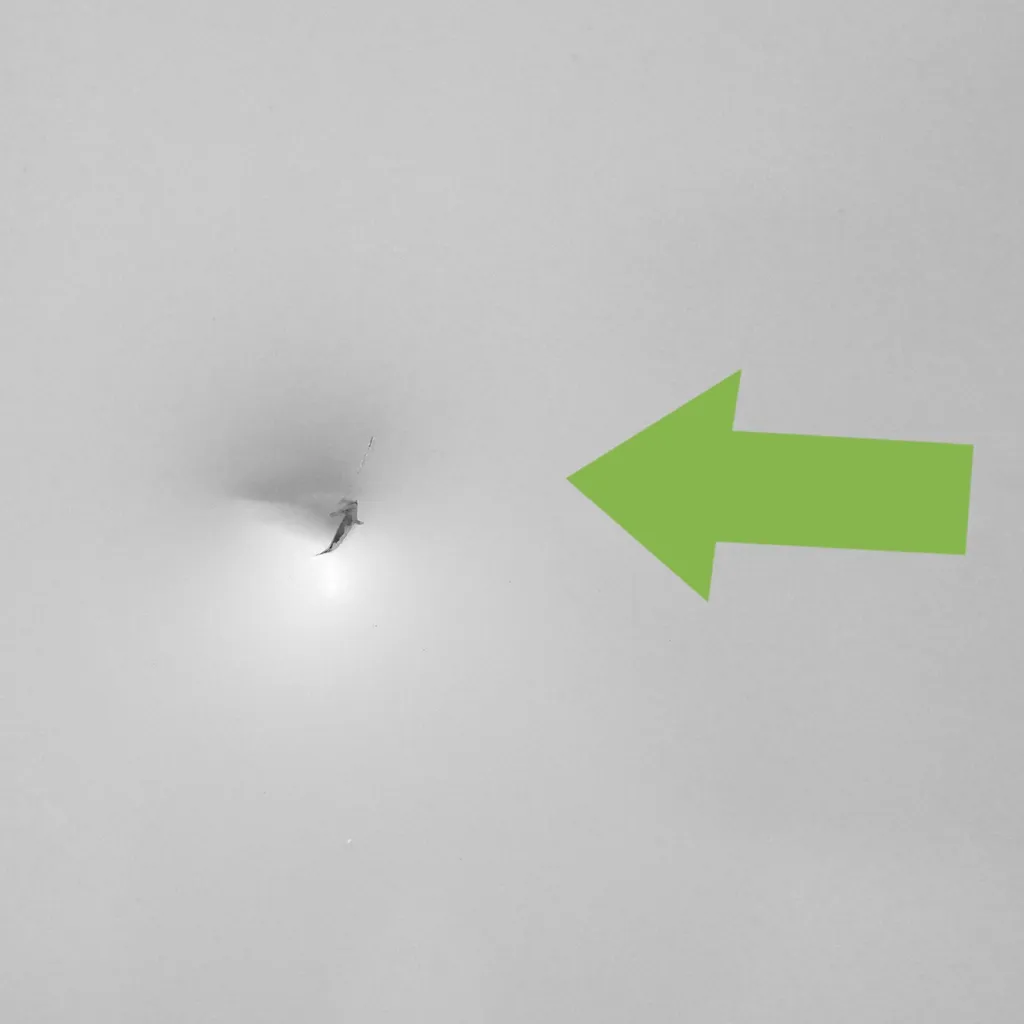 Gorenje NRK 6192 EW5F Kühl-Gefrierkombinationen - Weiß – Bild 14