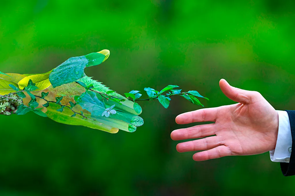 BiOHY Ultraschallreiniger (2x1l Flasche) + Dosierer | Intensive Und Materialschonende Reinigung Von Brillen, Dentalprodukte, Gold, Münzen Und Schmuck| KONZENTRAT Für Ultraschallbad – Bild 8