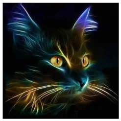 Redcoringe 5D DIY Diamond Painting Full Diamant Kreuzstich Stickerei Malerei Katze Bilder Deko 30x30cm