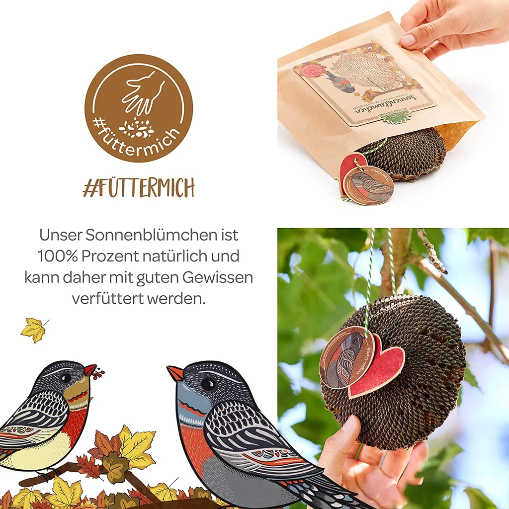 Die Stadtgärtner Sonnenblümchen I Schönes Vogelfutter Zum Verschenken I Getrocknetes Sonnenblumenköpfchen Zum Aufhängen I Vögel Füttern & Beobachten I Liebevoll Verpackt In Handarbeit In Deutschland – Bild 3