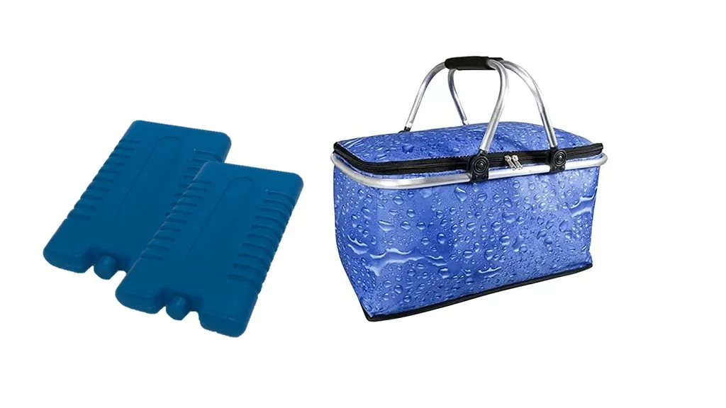 Conny Clever® 30 Liter Kühlkorb Faltbar – Einkaufskorb Thermo Korb Mit 2X Kühlakkus Für Unterwegs – Outdoor Picknickkorb Wasserdicht Kühlfunktion Klappbare Tragestange Kühltasche