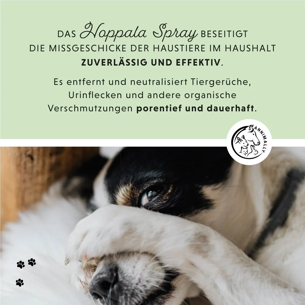 Annimally.de Hoppala Spray - Enzymreiniger & Geruchsentferner – Bild 3