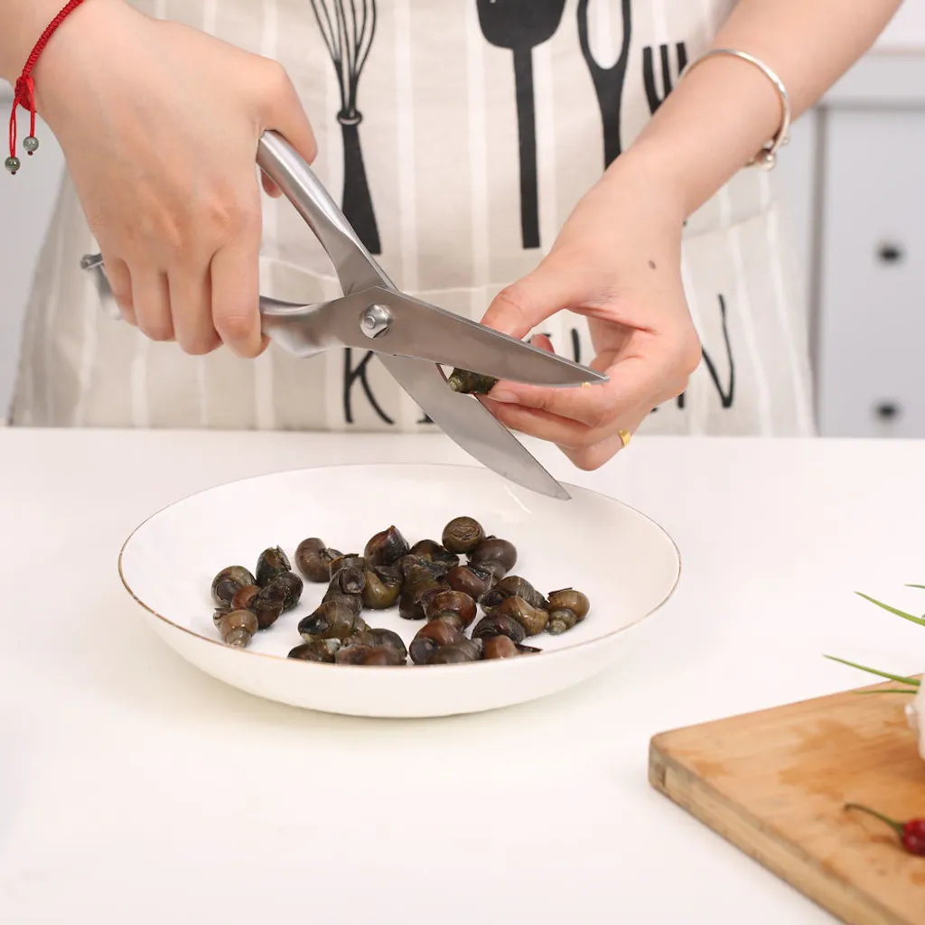 Professionelle Küchenschere Aus Edelstahl Für Huhn / Fleisch / Geflügel / Fisch / Kräuter / Pilze - Linkshänder Und Rechtshänder - Geflügelschere - Decopatent – Bild 8