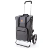 Andersen Shopper Royal Shopper Stahl Klappbar Mit Metallspeichenrad Ø 25 Cm Und 45 Liter Tasche Wismar Silbergrau Mit Kühlfach