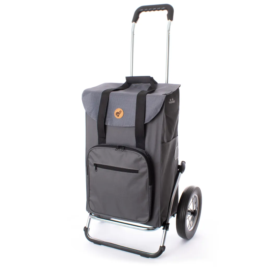 Andersen Shopper Royal Shopper Stahl Klappbar Mit Metallspeichenrad Ø 25 Cm Und 45 Liter Tasche Wismar Silbergrau Mit Kühlfach