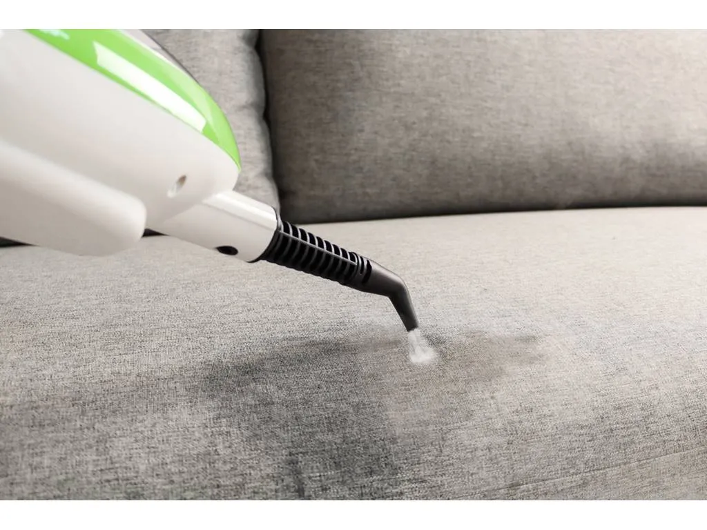 Swiss Pro+ 10 In 1 Dampfreiniger Bodenreinigung Entfernt Bakterien Und Viren Für Alle Böden – Bild 9