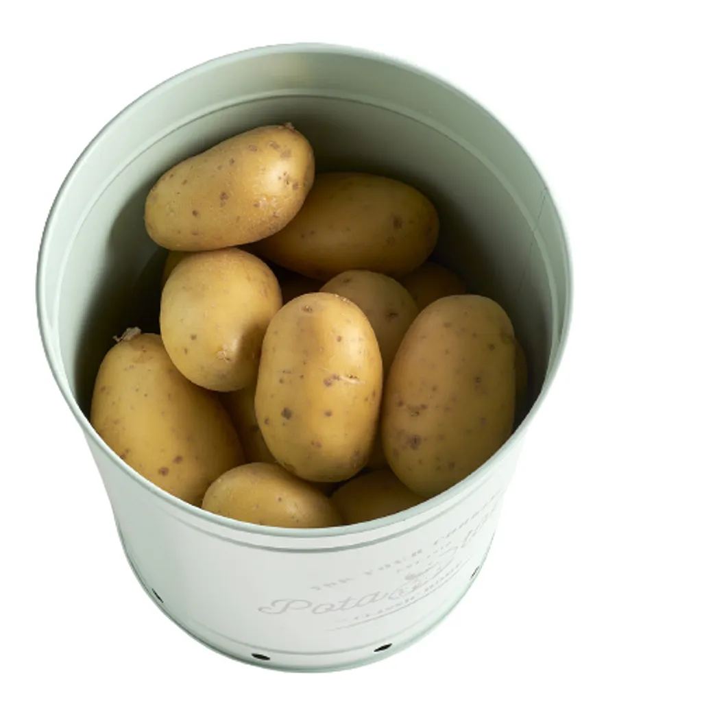 Zeller Present Vorratsdose Kartoffel Metall Ø16cm, Mint – Bild 3