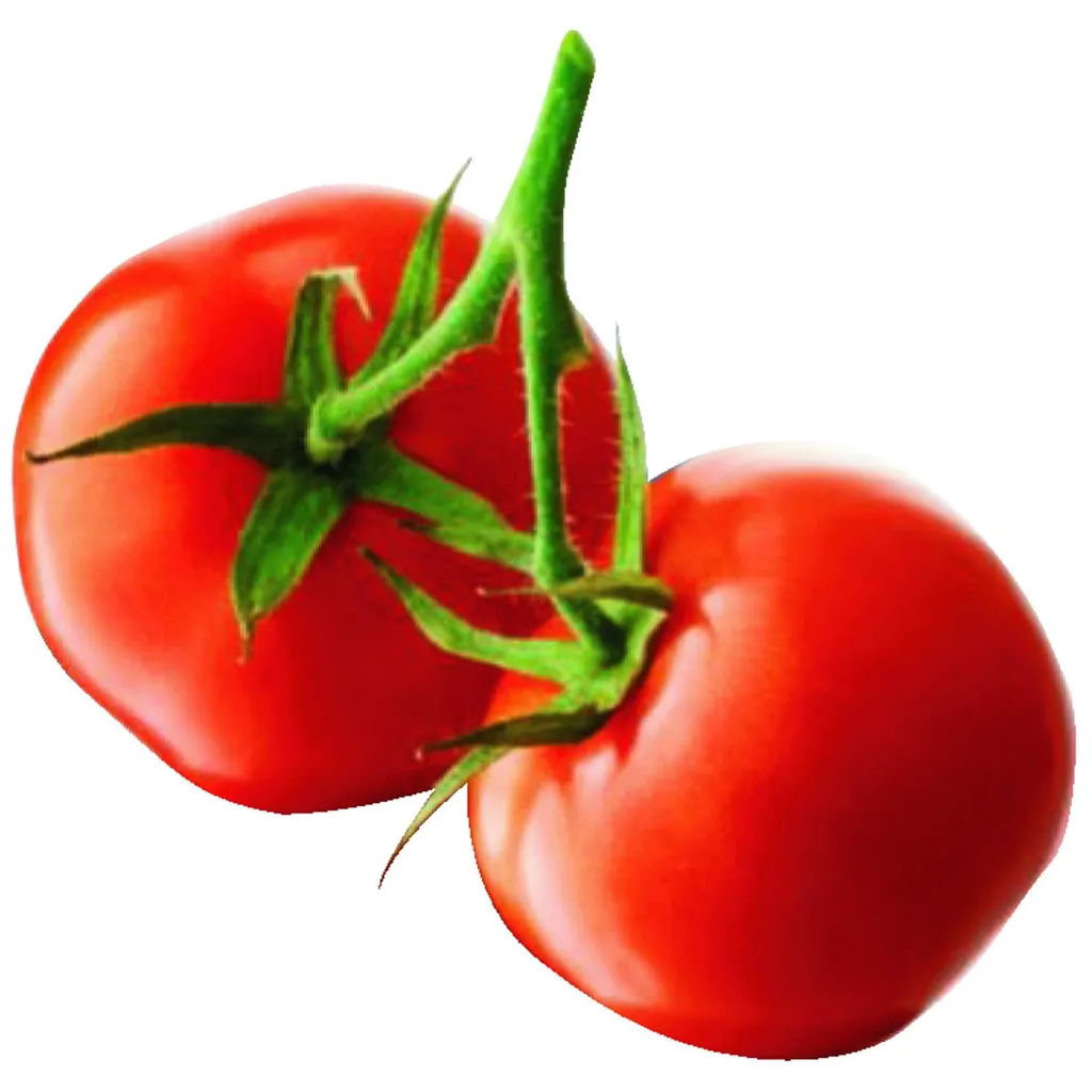 Philips Viva Collection HR1388/80 Küchenmaschinen - Weiß / Schwarz – Bild 15